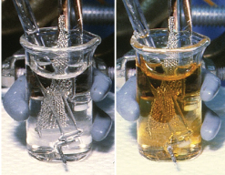 Photo of light pink solution of americium(III) in concentrated potassium carbonate (left) and after electrochemical oxidation at a platinum screen anode to produce a golden-brown solution of americium(IV) carbonate complex (right). D. E. Hobart, et al. (1982) Radiochimica Acta, 31,139. 